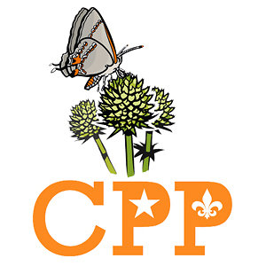Logo with butterfly and the letters CPP in orange
