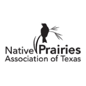 Logo of a bird on tall grass and the words Native Prairies Association of Texas