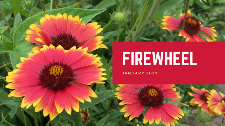 Firewheel