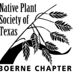 Native Plant Society of Texas Boerne Chapter logo, black and white image of tall grass