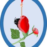Illustration of a red flower and a beetle, encircled in blue oval.