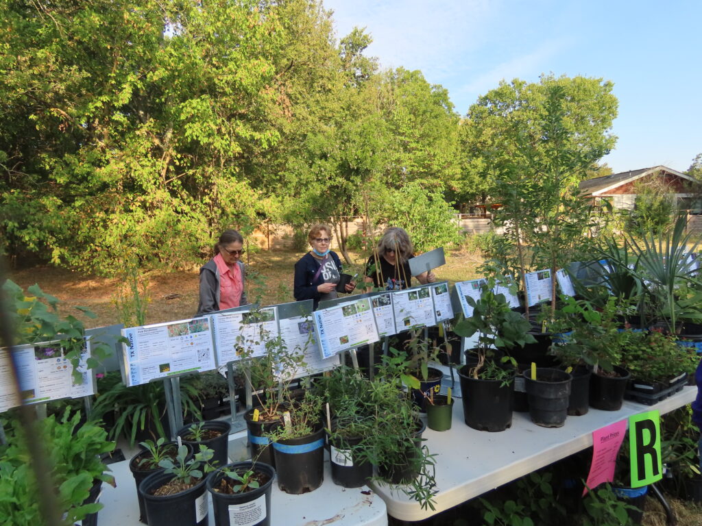 News and Events Native Plant Society of Texas