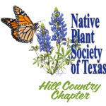 Illustration of a monarch butterfly on a bluebonnet plant. Text reads Native Plant Society of Texas, Hill Country Chapter