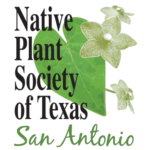 Illustration of a green leaf surrounded by pale green flowers. Text reads Native Plant Society of Texas in black, and at the bottom in script font, San Antonio.