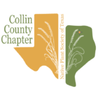Illustration of state of Texas, divided into two halves, one yellow and one green. In the center is an illustration of tall bunch grass. It reads Collin County Chapter, Native Plant Society of Texas