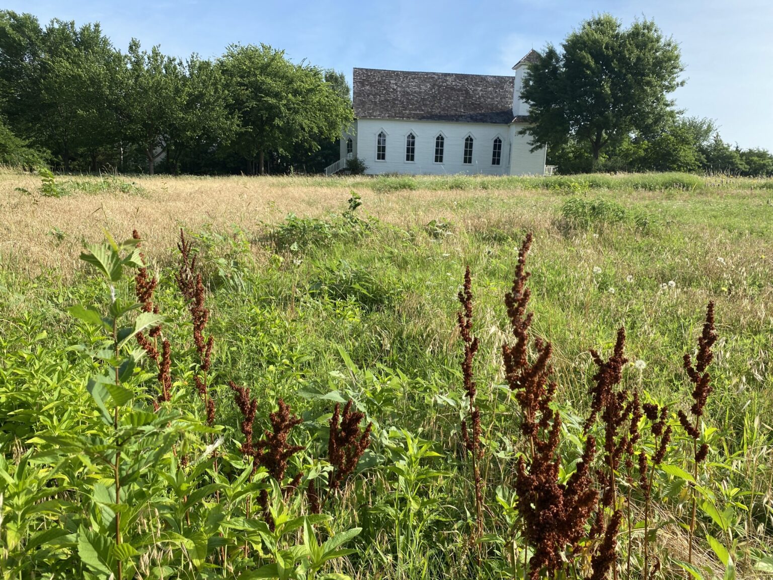 Frankford Blackland Prairie - Native Plant Society of Texas