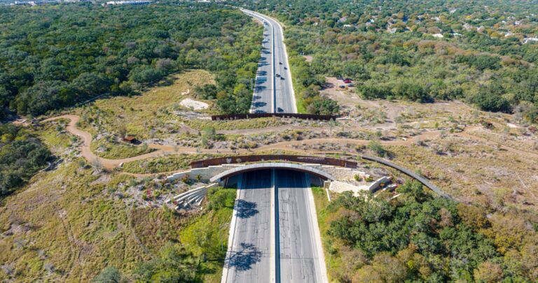 Phil Hardberger Park Land Bridge