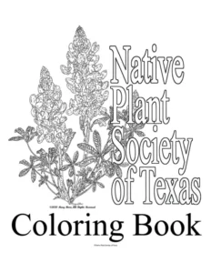 Black and white outline image of bluebonnet. Text reads Native Plant Society of Texas, Coloring Book, copywright 2020, Mary Horn, All Rights Reserved.