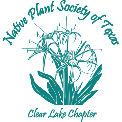 Clear Lake Chapter Logo