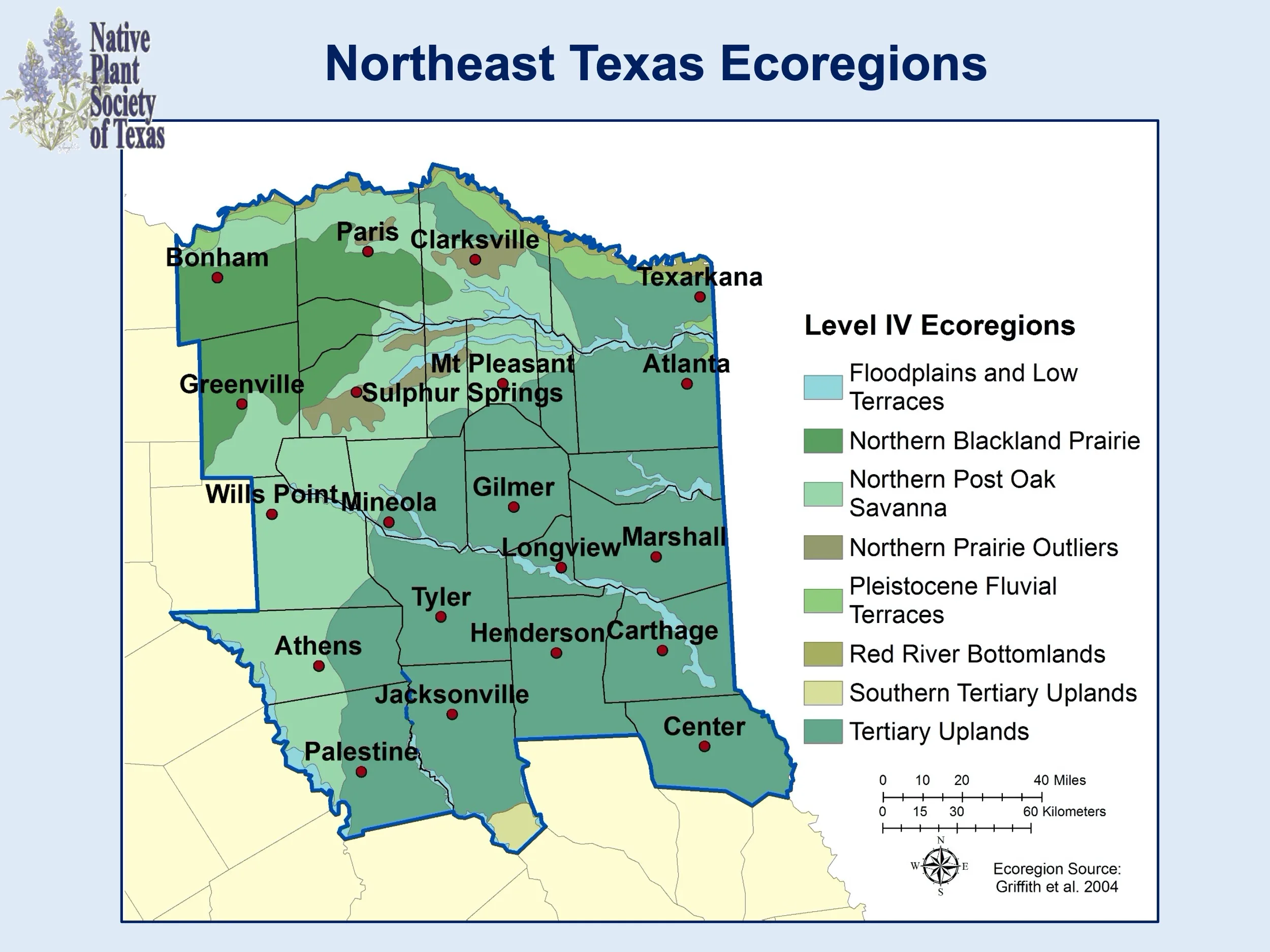 Northeast Texas Ecoregions Map